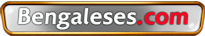 Bengaleses.com